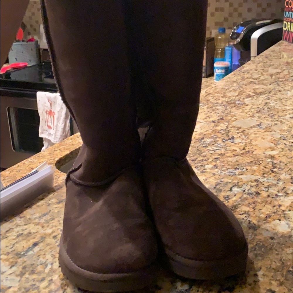 Chocolate Brown Uggs